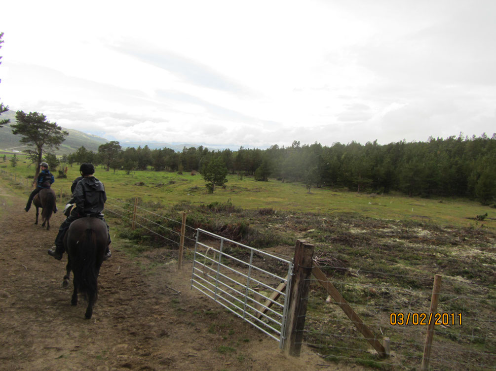 %_tempFileNameIMG_1552%