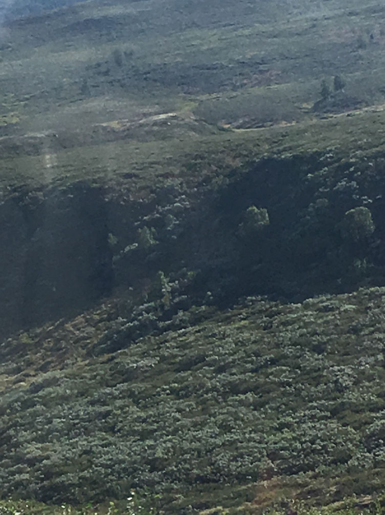 %_tempFileNameIMG_2279%