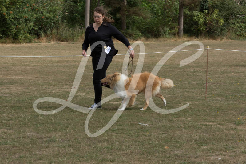 %_tempFileName4S3A7950%