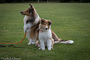 %_tempFileName4S3A0055%20(1)-50%