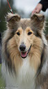 %_tempFileName4S3A0470-183%