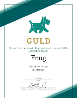 Guld Nosework 1