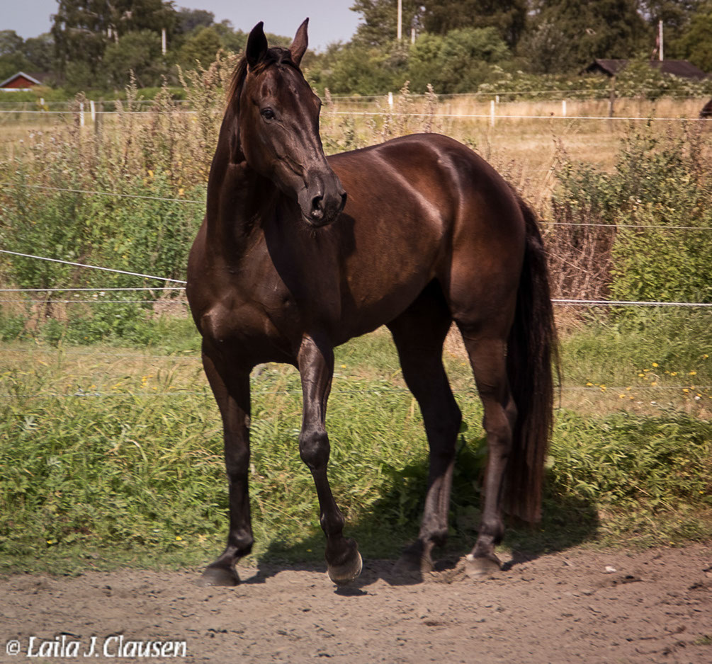 %_tempFileName4S3A0145-50%