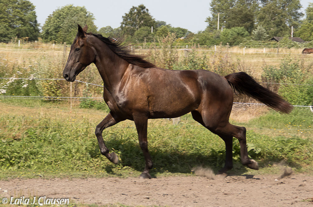 %_tempFileName4S3A0148-52%