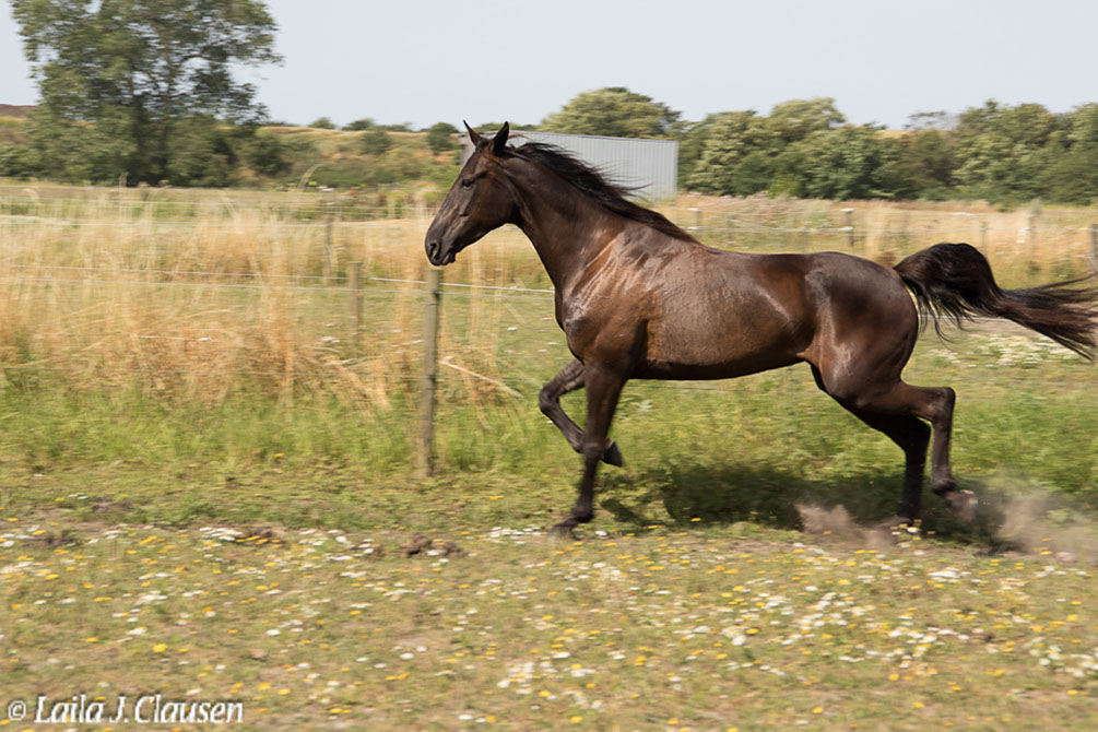 %_tempFileName4S3A0152-55%