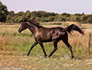 %_tempFileName4S3A0088-45%