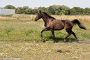 %_tempFileName4S3A0151-54%