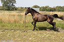 %_tempFileName4S3A0152-55%