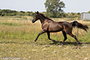 %_tempFileName4S3A0153-56%