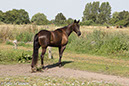 %_tempFileName4S3A0172-67%