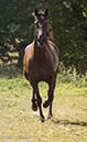 %_tempFileName4S3A0225-100%