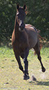 %_tempFileName4S3A0227-101%