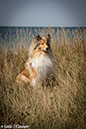 %_tempFileName4S3A0393-1%