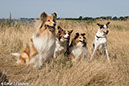%_tempFileName4S3A0433-15%
