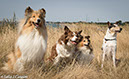 %_tempFileName4S3A0440-22%