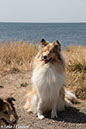 %_tempFileName4S3A0455-26%