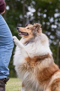 Image 6-8